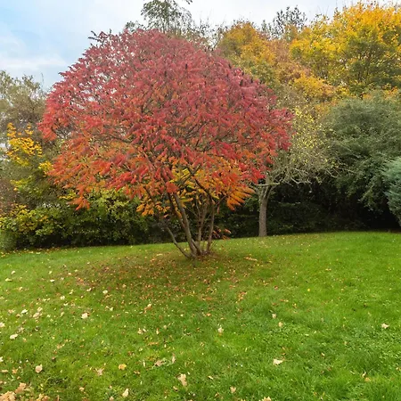Sophie בית נופש